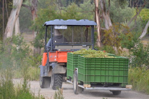 Yarra Valley Private Car Winery Tour And Chocolate.1-7 Passengers One Car Price - Surfers Gold Coast 1