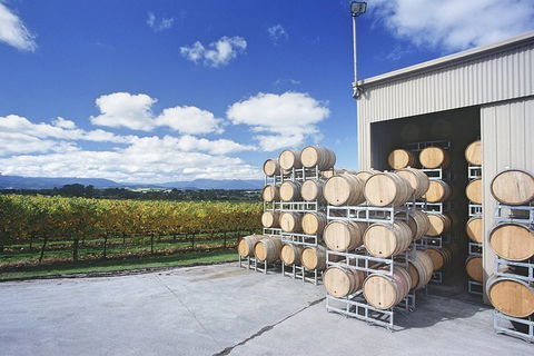 Yarra Valley Private Car Winery Tour And Chocolate.1-7 Passengers One Car Price - Surfers Gold Coast 2