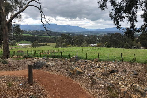 Yarra Valley Wine Tour Inc Lunch With A Glass Of Wine, Tastings And Chocolate - Surfers Gold Coast 0