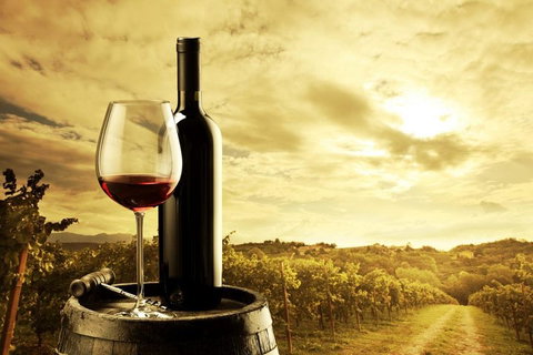 Barossa Valley Cellar Doors Luxury Wine Tour - Surfers Gold Coast 0