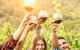 Barossa Valley Cellar Doors Luxury Wine Tour - thumb 1