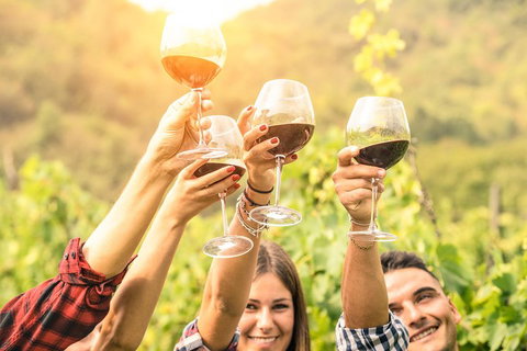 Barossa Valley Cellar Doors Luxury Wine Tour - Surfers Gold Coast 1