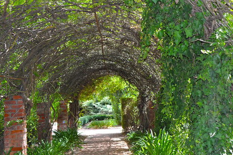 Barossa Valley Cellar Doors Luxury Wine Tour - Surfers Gold Coast 3
