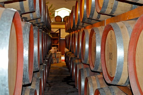 Barossa Valley Cellar Doors Luxury Wine Tour - Surfers Gold Coast 5