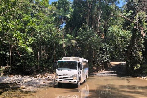 Cairns To Cooktown 4WD Tour - Surfers Gold Coast 5