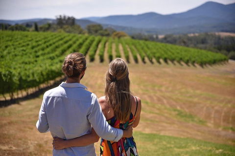Yarra Valley Wine, Bubbles And Gin Tour! - Surfers Gold Coast 4
