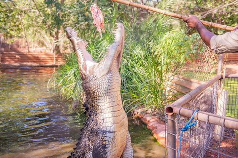 Malcolm Douglas Crocodile Park Tour Including Transportation - Surfers Gold Coast 5
