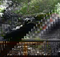 Mt Field and Styx Valley Photography Tour - Surfers Gold Coast