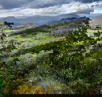 3-Day Tour to the Falls Mountains Lake  More of West Coast Tasmania - Surfers Gold Coast