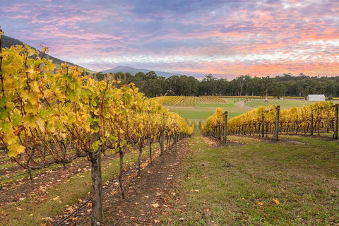 Yarra Valley Boutique Winery Tour From Melbourne - Surfers Gold Coast 3