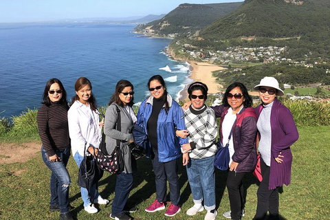 Private Grand Pacific Drive And Southern Highlands Tour - Surfers Gold Coast 3