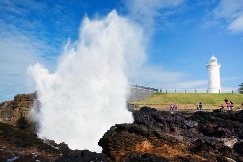 Private Grand Pacific Drive And Southern Highlands Tour - Surfers Gold Coast 4