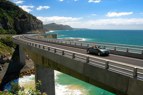 Private Grand Pacific Drive And Southern Highlands Tour - Surfers Gold Coast 5