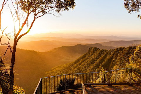 O'Reilly's & Lamington National Park Incl. Alpaca Farm + Vineyard - Surfers Gold Coast 0
