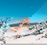 4 Day  3 Night Whitsunday Islands  Outer Reef Sailing Adventure on Condor - Surfers Gold Coast