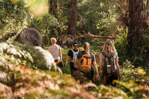 Cabaret Cave Yoga & Mindful Hike - Surfers Gold Coast 2