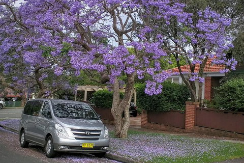 Sydney Secrets & Bondi Beach Private 4 Hr Morning With Personalised Sydney Tours - Surfers Gold Coast 0