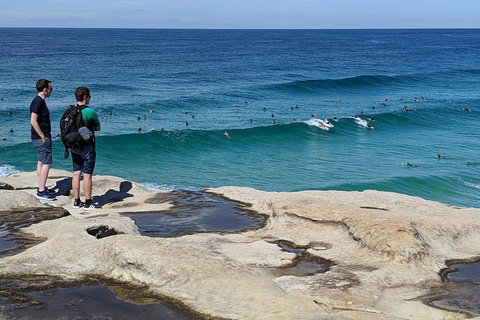 Sydney Secrets & Bondi Beach Private 4 Hr Morning With Personalised Sydney Tours - Surfers Gold Coast 2
