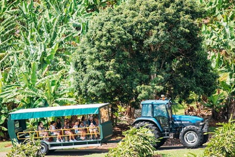 Tropical Fruit World With Wildlife Boat Cruise From Gold Coast - Surfers Gold Coast 1