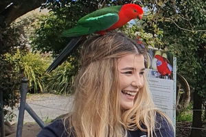 Lamington National Park, O'Reilly's & Vineyard Tour