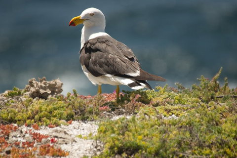 From The Mountains To The Bay - 4 Day Rediscovery Small Group Tour - Surfers Gold Coast 1