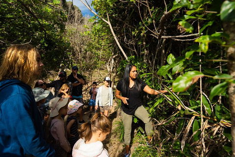 Cape Byron Aboriginal Tour - Surfers Gold Coast 4