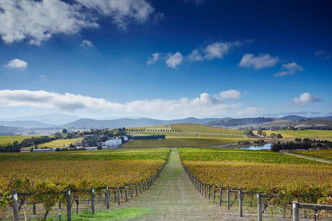 Yarra Valley Wine And Wildlife Self-Driving Tour - Surfers Gold Coast 1