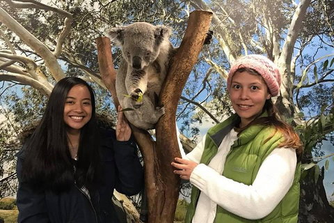 Australia Multi-City Attractions Pass - Surfers Gold Coast 3