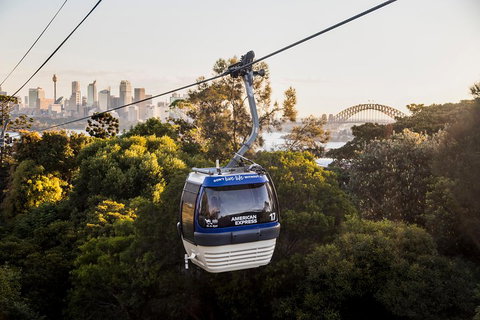 Australia Multi-City Attractions Pass - Surfers Gold Coast 5