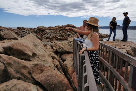 Margaret River Impression Day Tour From Perth - Surfers Gold Coast 4