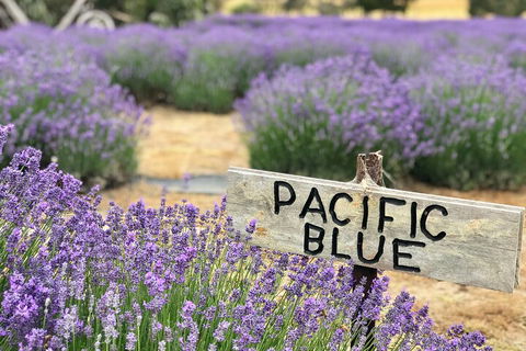 Kangaroo Island Half Day Food And Wine Trail Tour - Surfers Gold Coast 5