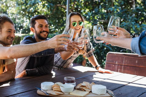 Full-day Wine-Tasting And Tamborine Mountain Tour With Lunch - Surfers Gold Coast 0
