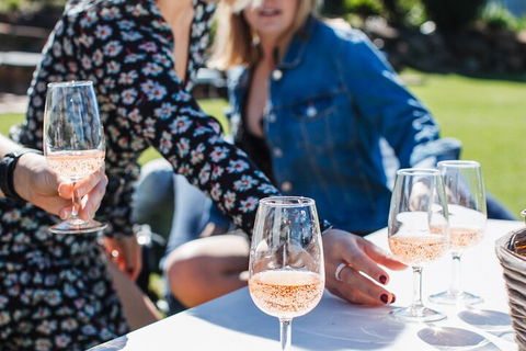 Full-day Wine-Tasting And Tamborine Mountain Tour With Lunch - Surfers Gold Coast 1
