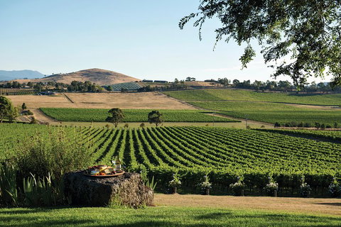 Small Group 6 Guests: Ultimate Yarra Valley Food And Wine - Mercedes Van - Surfers Gold Coast 4