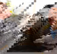 Bonorong Wildlife Park and Richmond Afternoon Tour from Hobart - Surfers Gold Coast