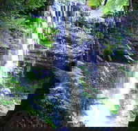 Mt Field National Park and Russell Falls from Hobart - Surfers Gold Coast