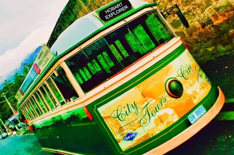 Hobart Half-Day Sightseeing Coach Tram Tour - Surfers Gold Coast 5