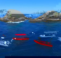 3-Hour Byron Bay Certified Scuba Diving Tour - Surfers Gold Coast