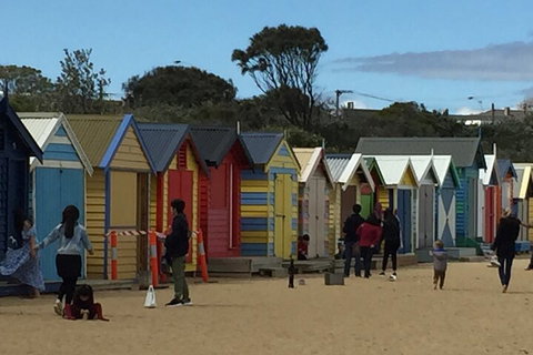 Private Half Day Melbourne City Tour With Local Guide - Surfers Gold Coast 2