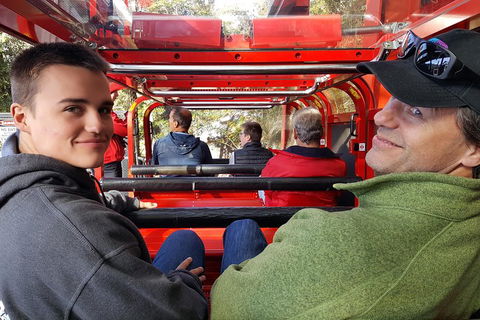 Fully Inclusive Blue Mountains Private Tour Inc Scenic World & Featherdale Entry - Surfers Gold Coast 1