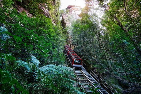 Fully Inclusive Blue Mountains Private Tour Inc Scenic World & Featherdale Entry - Surfers Gold Coast 4