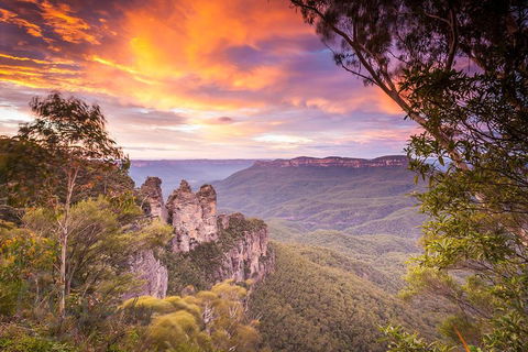 Fully Inclusive Blue Mountains Private Tour Inc Scenic World & Featherdale Entry - Surfers Gold Coast 5