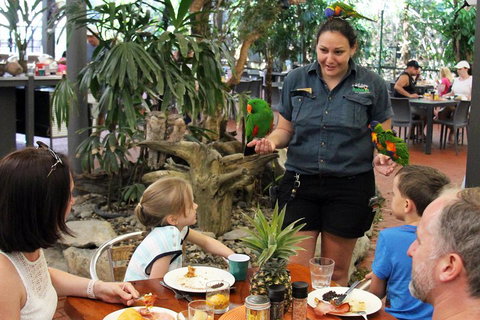 Wildlife Habitat Port Douglas - Surfers Gold Coast 2