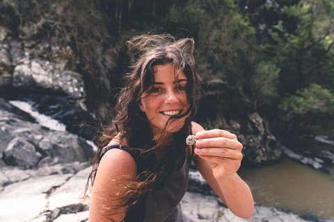 Springbrook AndTamborine Rainforest Tour Incl Natural Bridge And Glow Worm Cave - Surfers Gold Coast 1