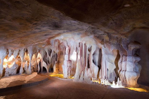 Springbrook AndTamborine Rainforest Tour Incl Natural Bridge And Glow Worm Cave - Surfers Gold Coast 4
