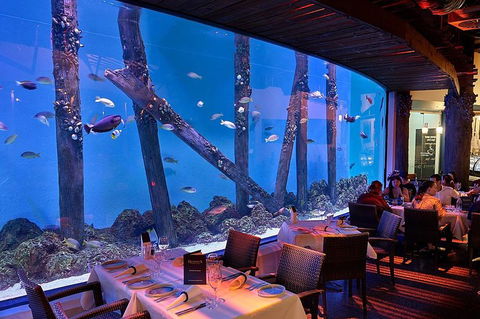 Cairns Aquarium And Small Group City Sightseeing Tour - Surfers Gold Coast 4