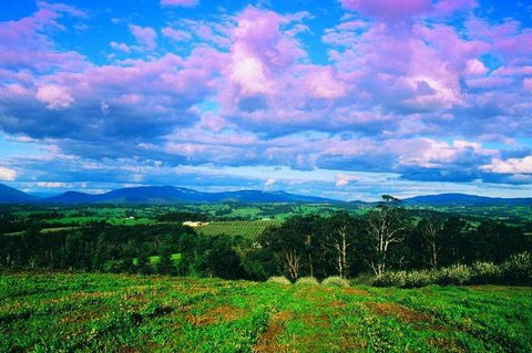 CHEVY CONVERTIBLE Package For 4 -Wine Lunch Cheese & Chocolate From Yarra Valley - Surfers Gold Coast 4