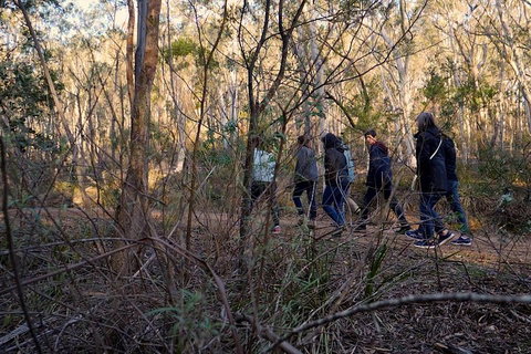 Wild Australian Wildlife 4WD Tour From Sydney - Surfers Gold Coast 0