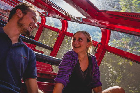Blue Mountains Hop-on Hop-off Tour With Optional Scenic World Rides - Surfers Gold Coast 5