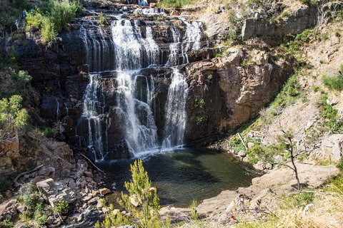 Great Ocean Road Grampians 3 Day National Park Tour Melbourne Roundtrip - Surfers Gold Coast 2